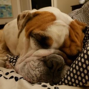 Meet your Posher, Nathan